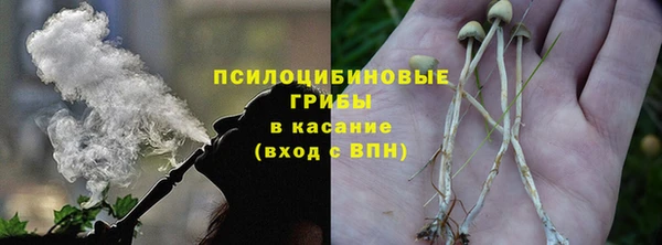 меф Алексин