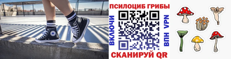 где купить наркотик  МЕГА tor  Галлюциногенные грибы мухоморы  Усть-Лабинск 