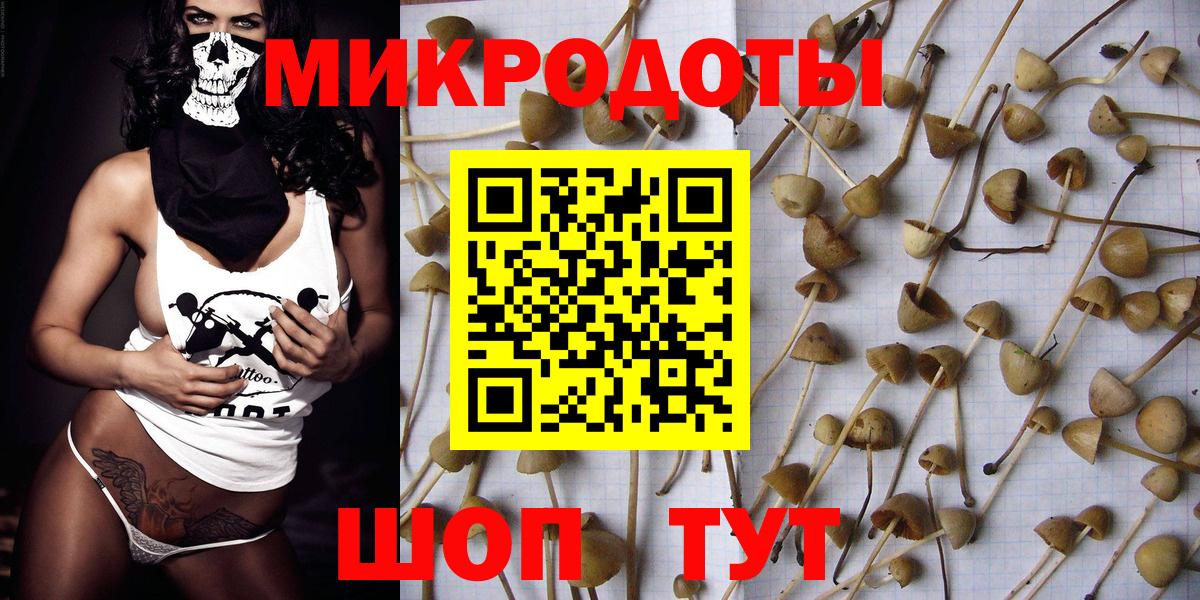Галлюциногенные грибы Magic Shrooms  наркошоп  Галлюциногенные грибы Cubensis  Усть-Лабинск  Вход с VPN 