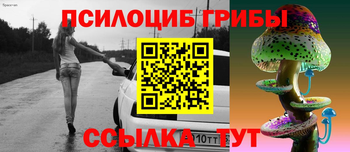 Псилоцибиновые грибы Psilocybine cubensis Усть-Лабинск